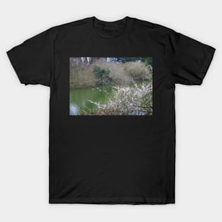 Ducks on the Lake T-Shirt